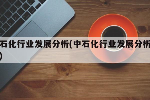 中石化行业发展分析(中石化行业发展分析论文)